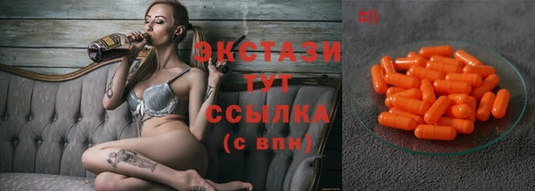 шишки Белокуриха