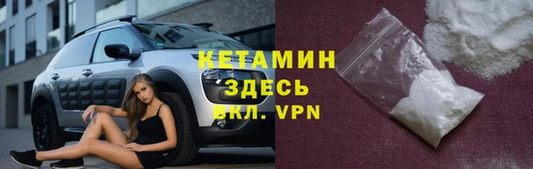 шишки Белокуриха