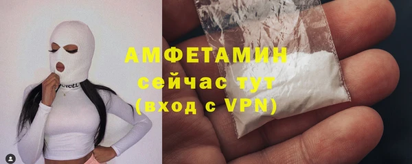 шишки Белокуриха