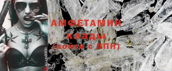 шишки Белокуриха