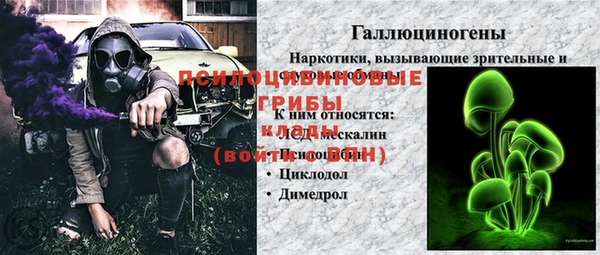 трава Беломорск