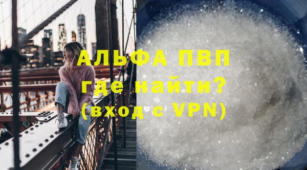шишки Белокуриха