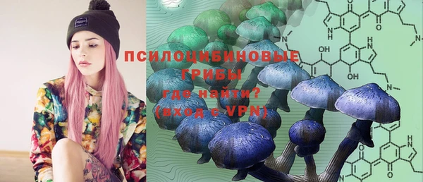 шишки Белокуриха