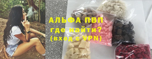 крисы Покачи