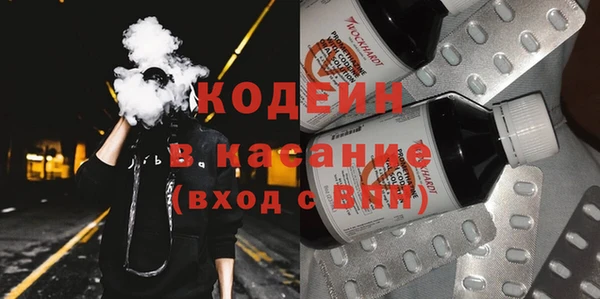 шишки Белокуриха