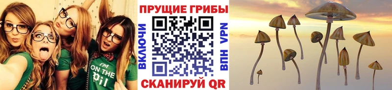 купить наркоту shop формула Галлюциногенные грибы Psilocybine cubensis Муром